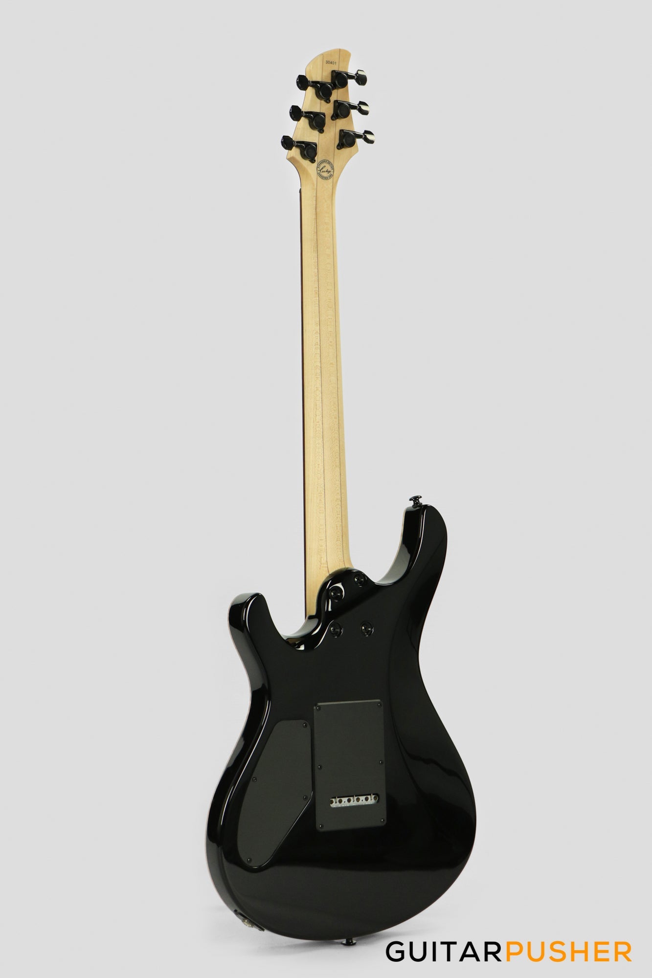 Leeky R-Series R25 S Style (Flamed Maple Top/Rosewood Fingerboard) - Blue Burst
