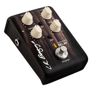 L.R. Baggs Align Series Delay for Acoustic Guitar - GuitarPusher