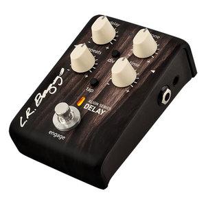 L.R. Baggs Align Series Delay for Acoustic Guitar - GuitarPusher