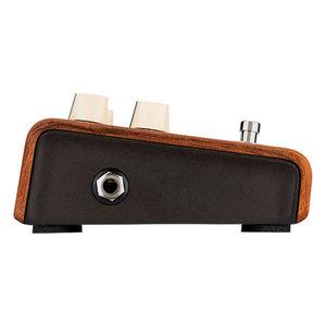 L.R. Baggs Align Series Reverb Pedal for Acoustic Guitar - GuitarPusher