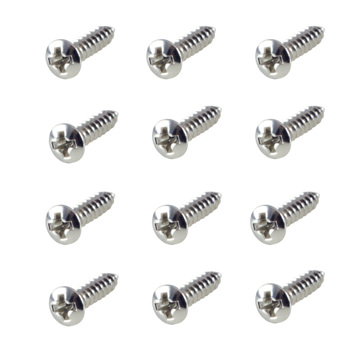 WD Pickguard Screw - set of 12 - GuitarPusher