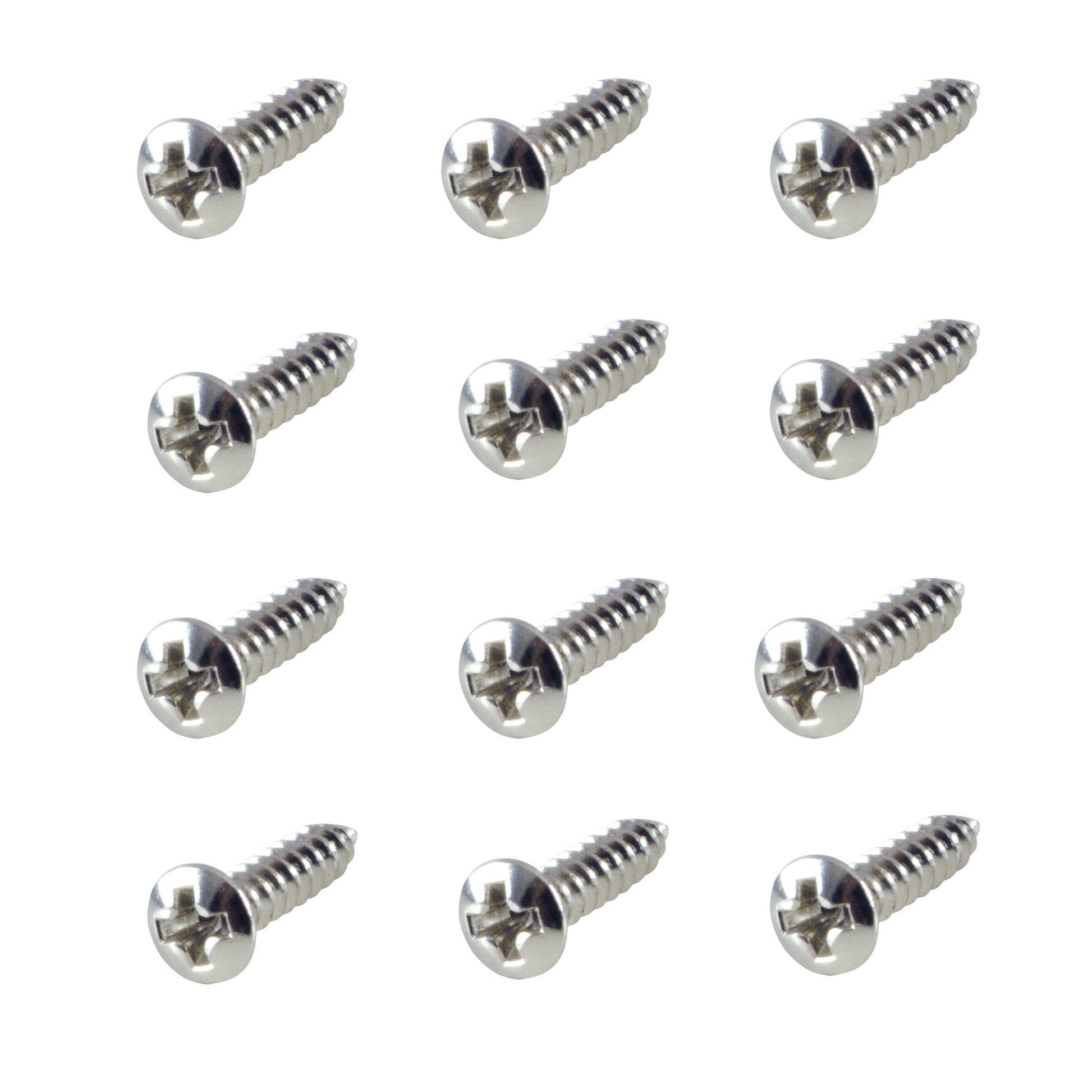 WD Pickguard Screw - set of 12 - GuitarPusher