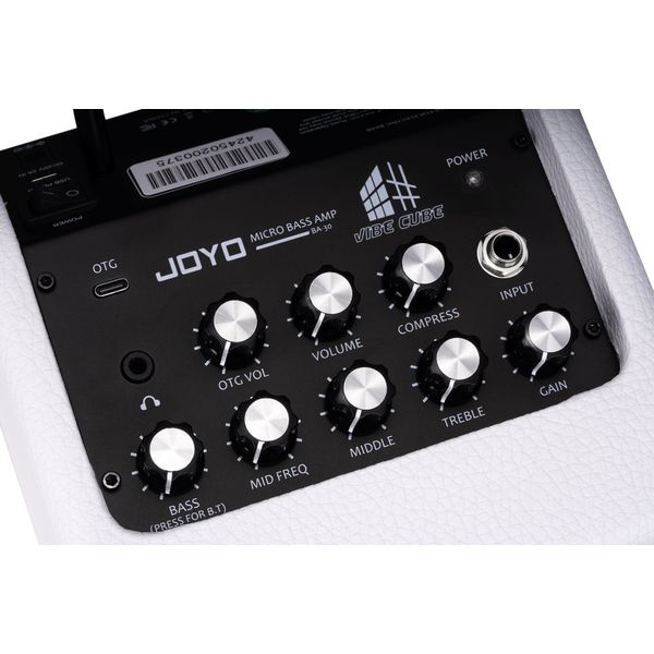 Joyo BA-30 Vibe Cube 30-Watt Micro Bass Amp