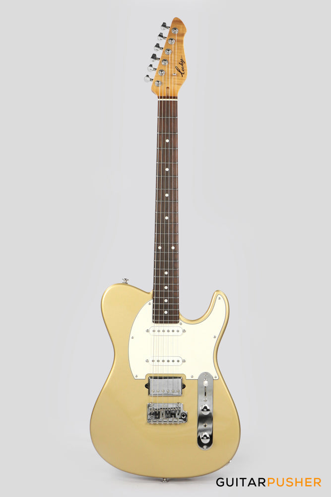 Leeky T-Series T31 Telecaster (Rosewood Fingerboard) - Gold