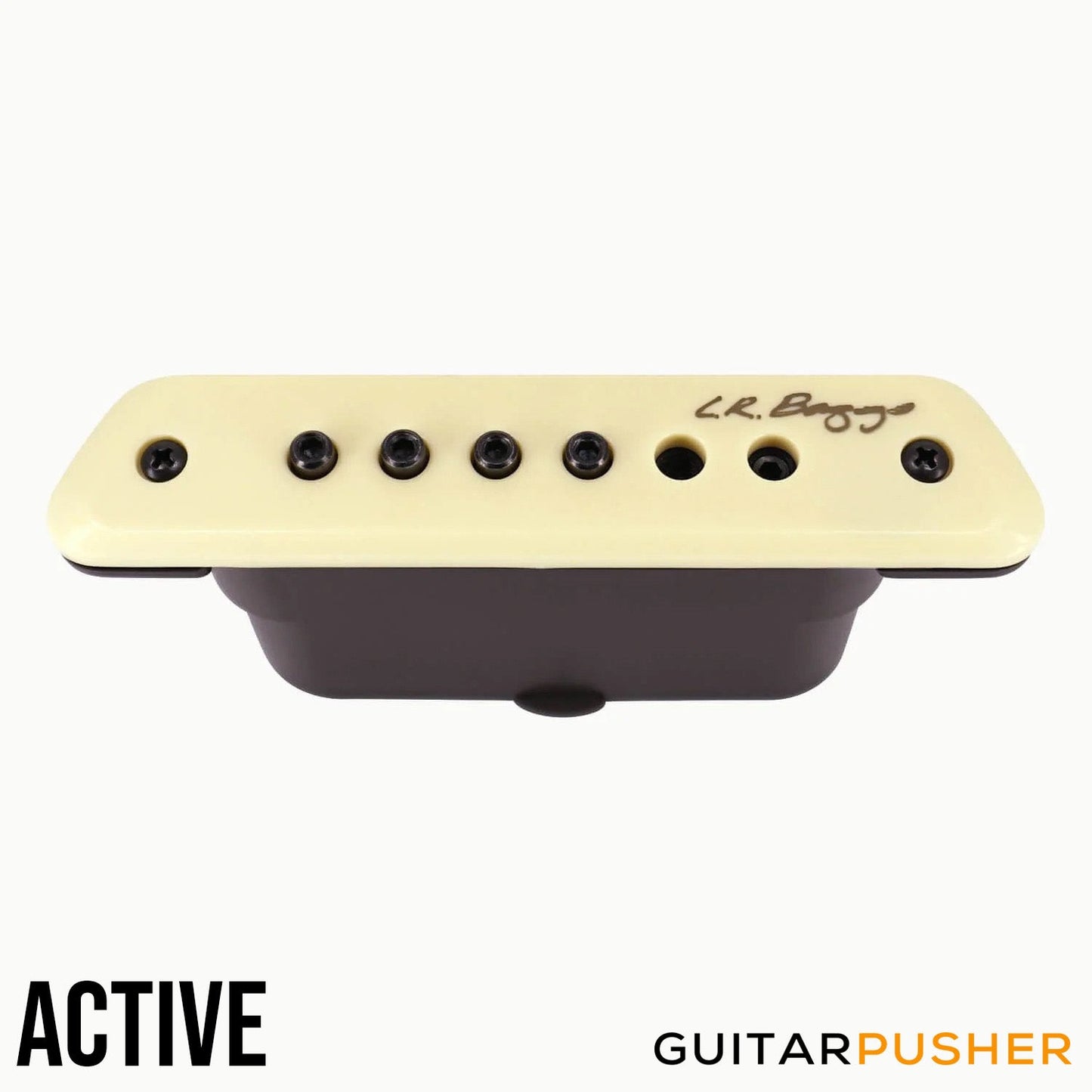 L.R. Baggs M1 Magnetic Acoustic Guitar Soundhole Pickup System