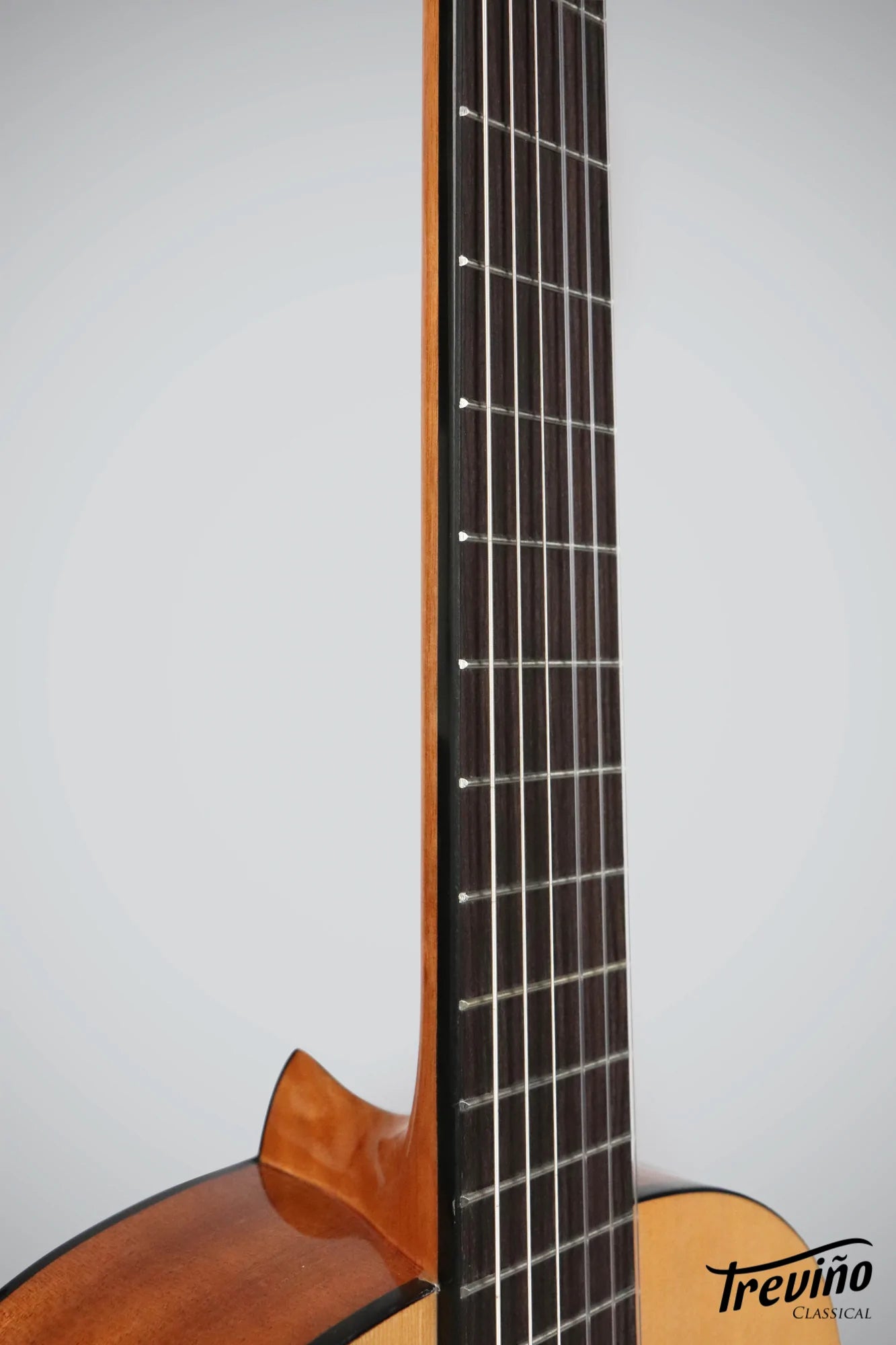 Trevino C393 Classical Guitar Nylon String with bag and tuner – Guitar ...