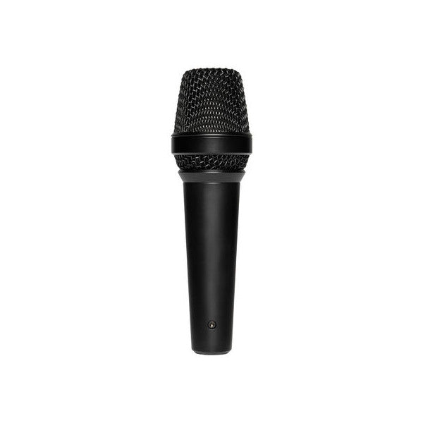 LEWITT MTP 250 DM Dynamic Vocal Microphone